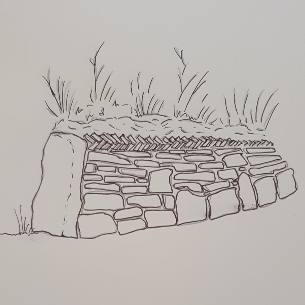 drawing of cornish hedge dry stone wall