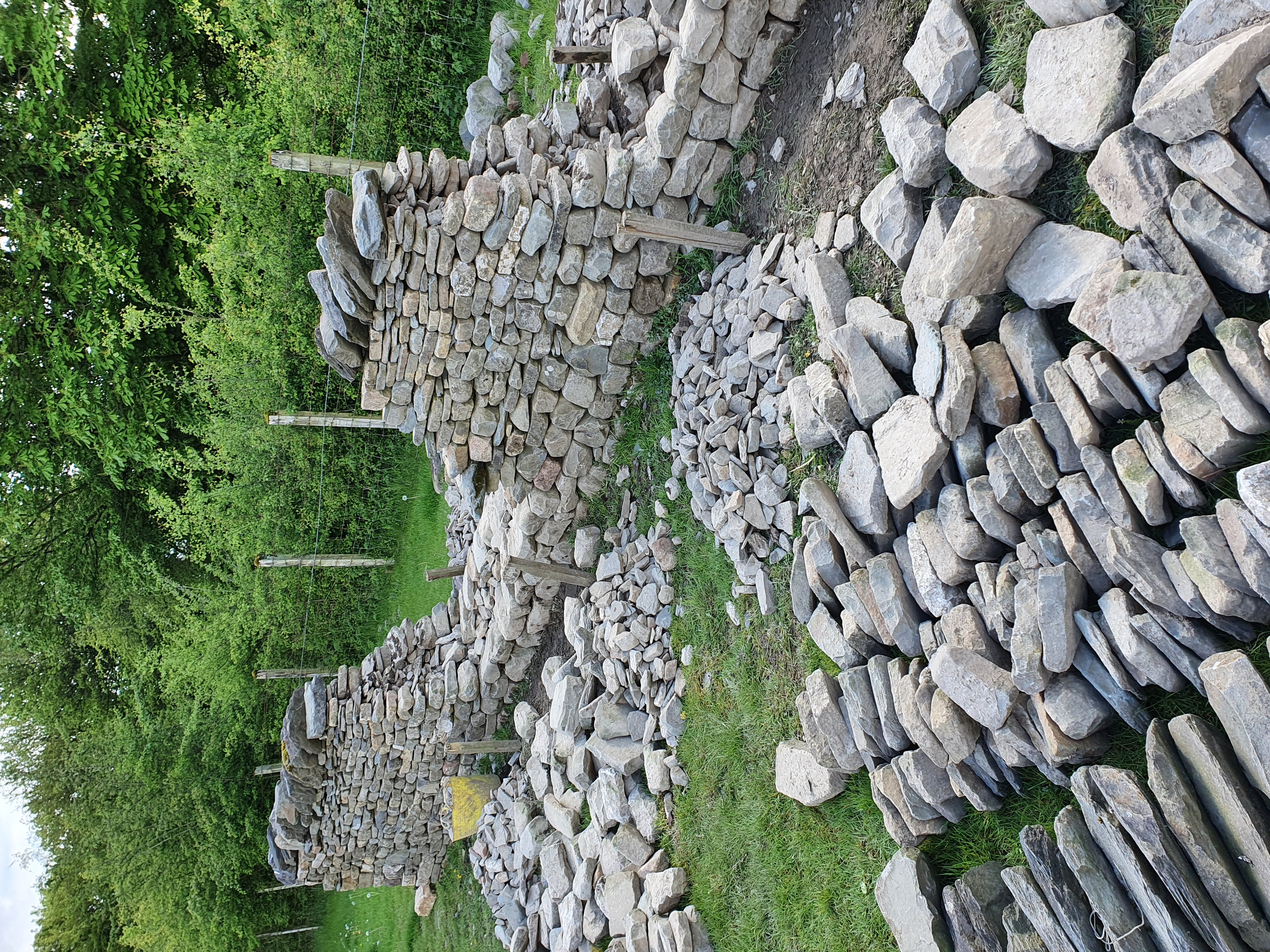 dry stone wall stripped and 1st lift