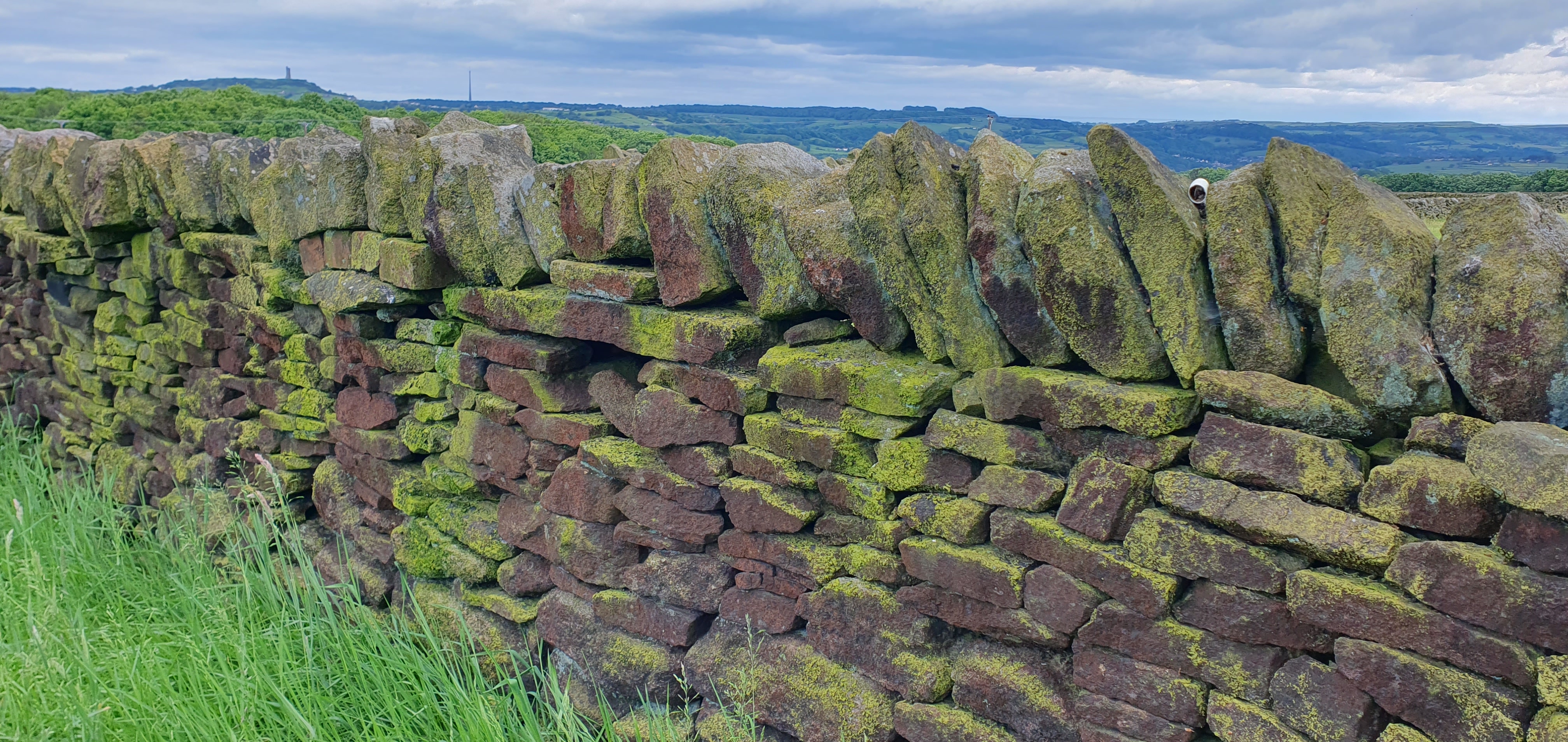 red and green field dry stone wall