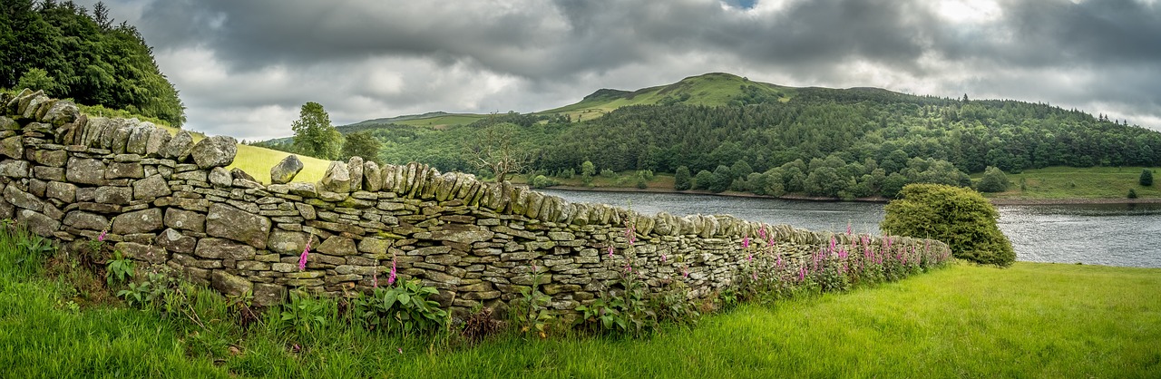 wall pattern on fields