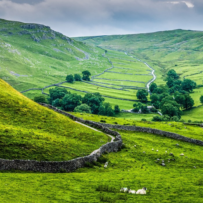 wall pattern on fields